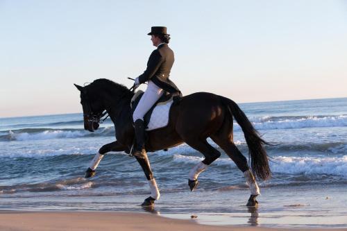 Pension Los Caballos Els Poblets Εξωτερικό φωτογραφία
