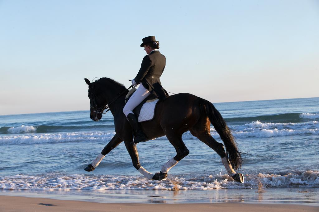Pension Los Caballos Els Poblets Εξωτερικό φωτογραφία